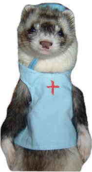 Ferret Surgeon Outfit