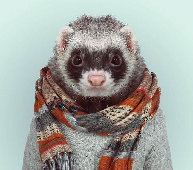 Ferret Scarf